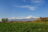Trekking-Armenien