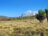 Trekking Kilimanjaro & Mount Meru