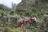Trekking Ruwenzori mit Gipfeloption 31